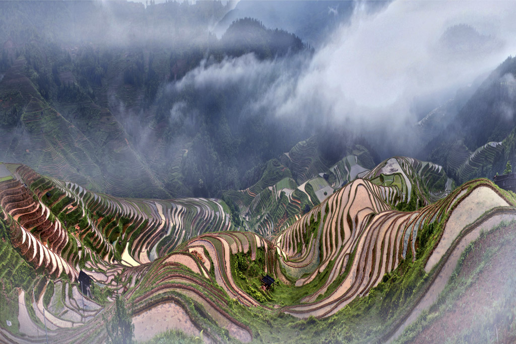 Congjiang Jiabang Terraced Fields